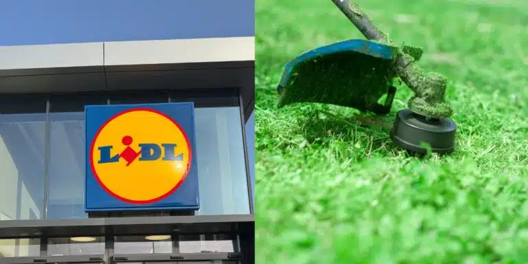 Il decespugliatore Parkside 2 in 1 che sta conquistando tutti: scoprilo da Lidl!