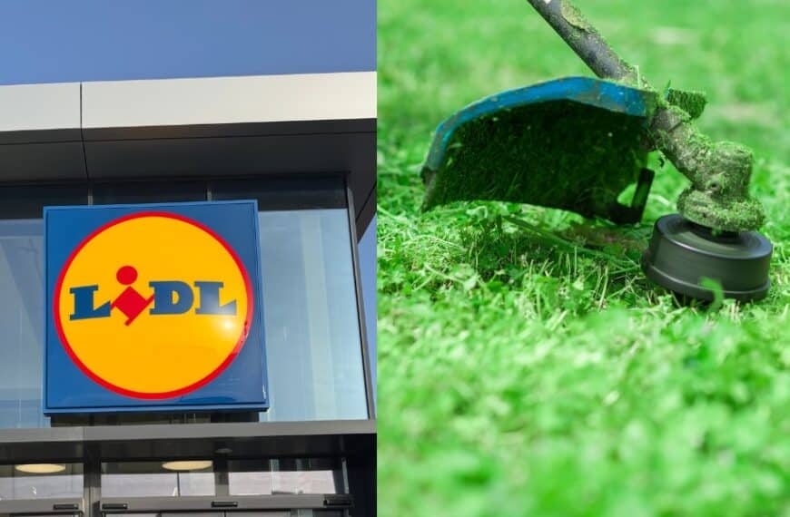 Il decespugliatore Parkside 2 in 1 che sta conquistando tutti: scoprilo da Lidl!