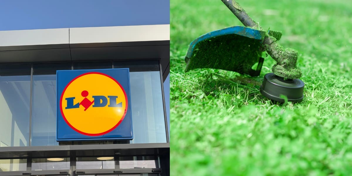 Il decespugliatore Parkside 2 in 1 che sta conquistando tutti: scoprilo da Lidl!