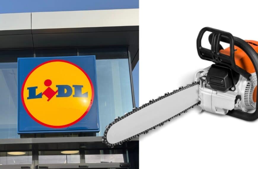 Motosega a batteria PARKSIDE: scopri l'affare da non perdere da Lidl
