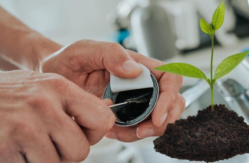 Capsule del caffè: la nuova frontiera per un giardinaggio eco-friendly