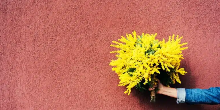 Come far fiorire la tua casa: segreti per un giardino di piante aromatiche tutto l'anno