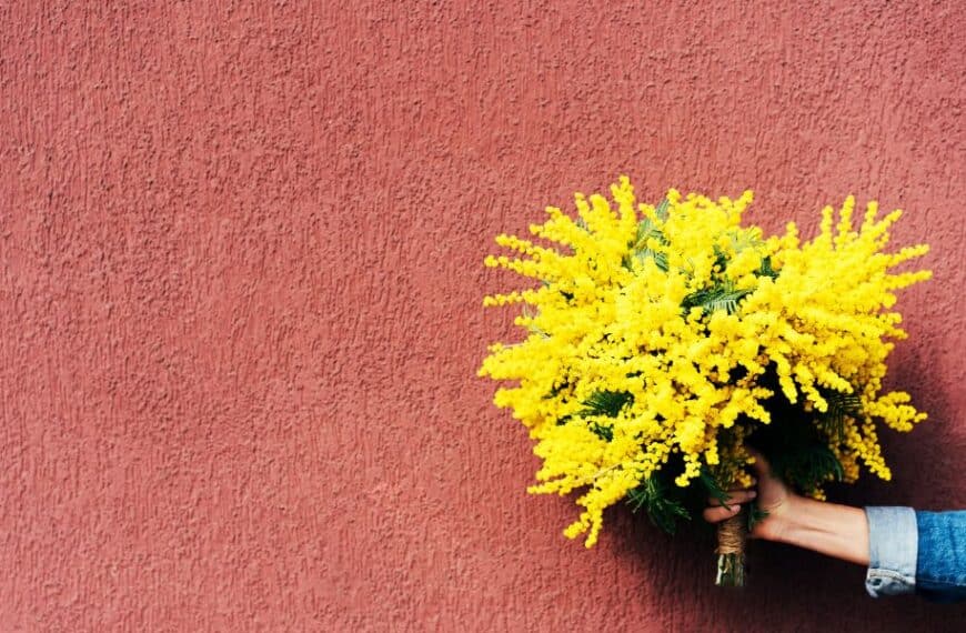 Come far fiorire la tua casa: segreti per un giardino di piante aromatiche tutto l'anno