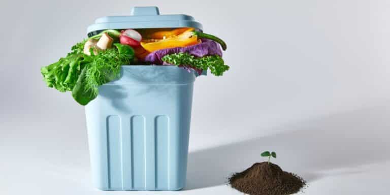 Non buttarli: scopri come riutilizzare gli alimenti scaduti senza rischi
