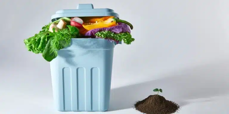 Non buttarli: scopri come riutilizzare gli alimenti scaduti senza rischi