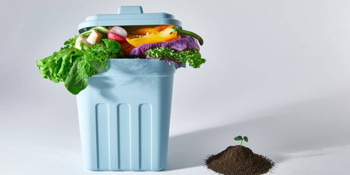Non buttarli: scopri come riutilizzare gli alimenti scaduti senza rischi