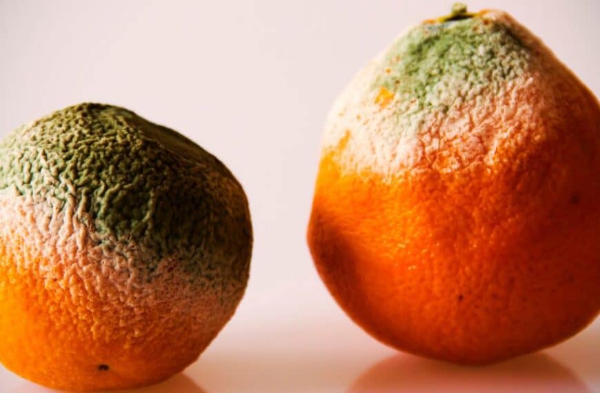 Le tue mandarini e clementine marciscono nella rete? Ecco come conservarli al meglio