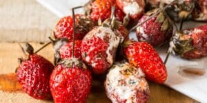 Non buttate via le vostre fragole mature. Scoprite 6 modi per gustarle al meglio