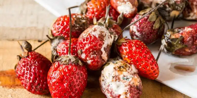 Non buttate via le vostre fragole mature. Scoprite 6 modi per gustarle al meglio