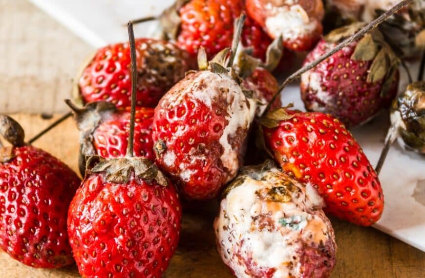 Non buttate via le vostre fragole mature. Scoprite 6 modi per gustarle al meglio