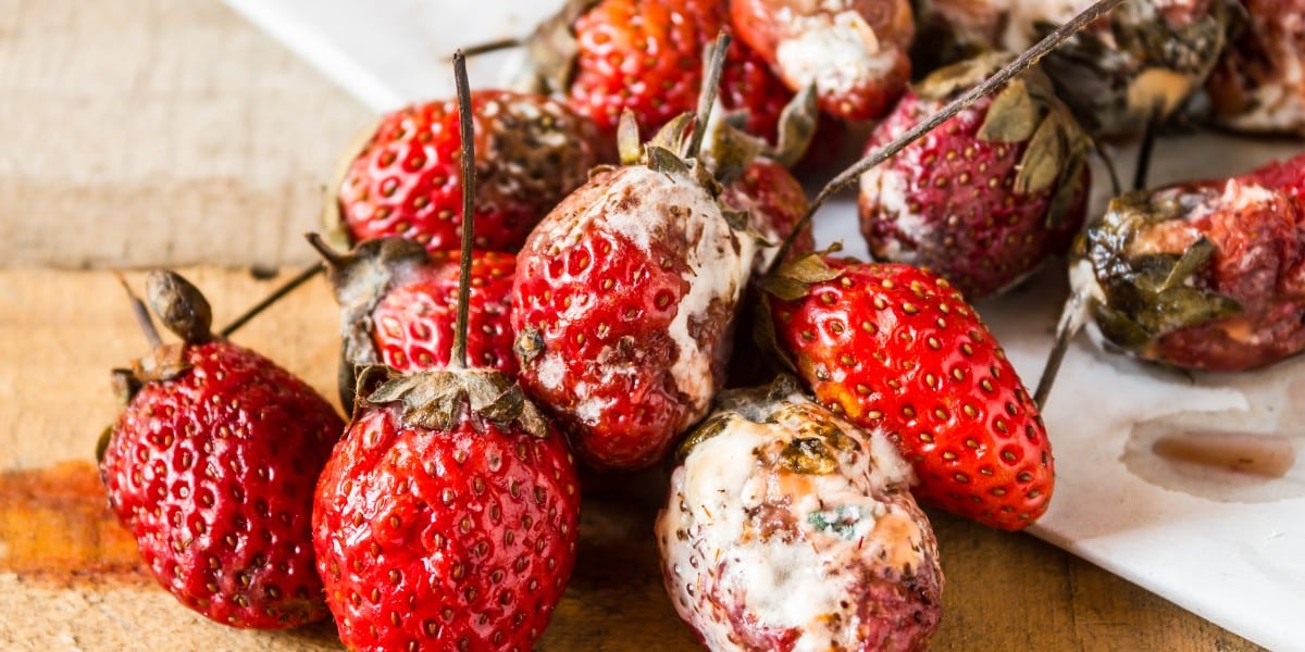 Non buttate via le vostre fragole mature. Scoprite 6 modi per gustarle al meglio