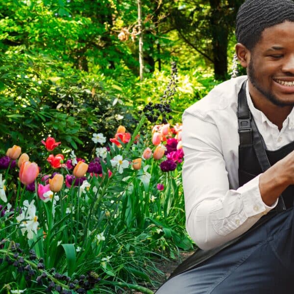 Giardinaggio a marzo: le operazioni essenziali per un giardino rigoglioso