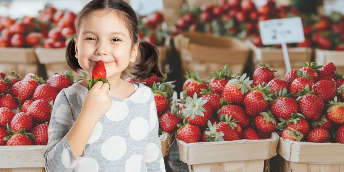 Fragole: il frutto della primavera che arricchisce la tua tavola con dolcezza e freschezza