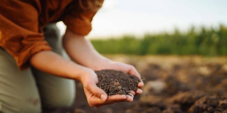 Trasforma i tuoi rifiuti in oro per il giardino: il segreto di un compost perfetto