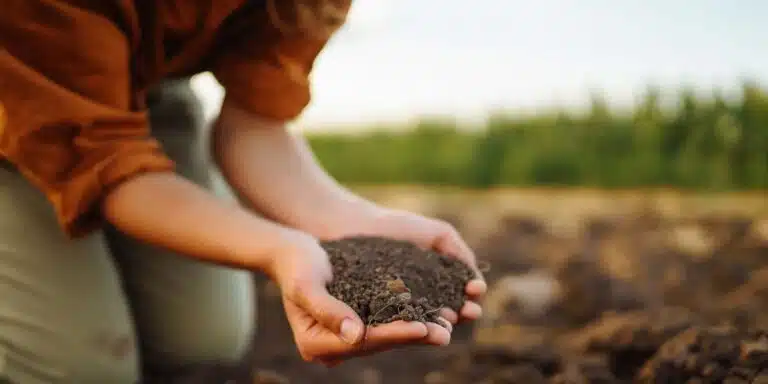Trasforma i tuoi rifiuti in oro per il giardino: il segreto di un compost perfetto