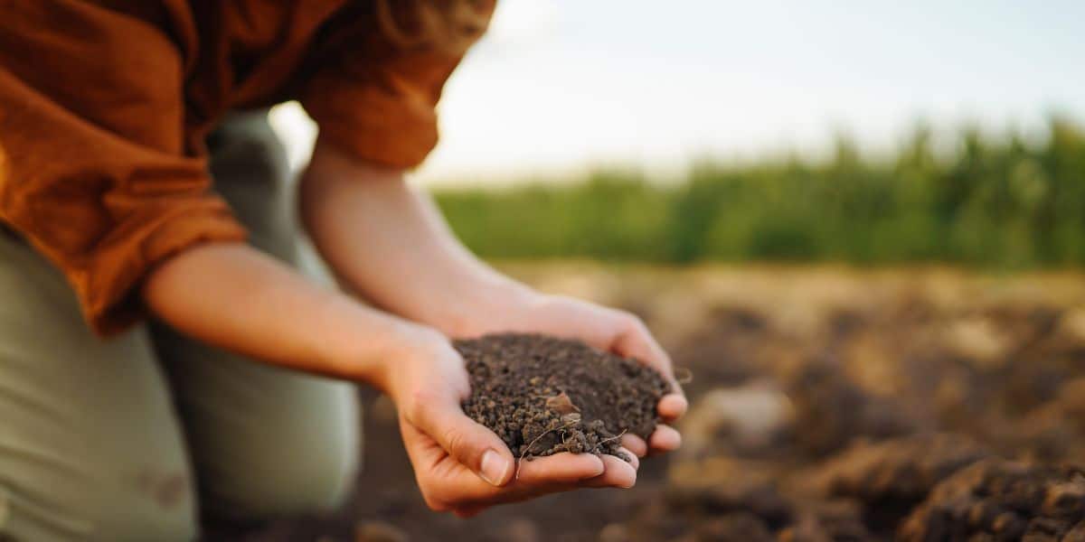 Trasforma i tuoi rifiuti in oro per il giardino: il segreto di un compost perfetto
